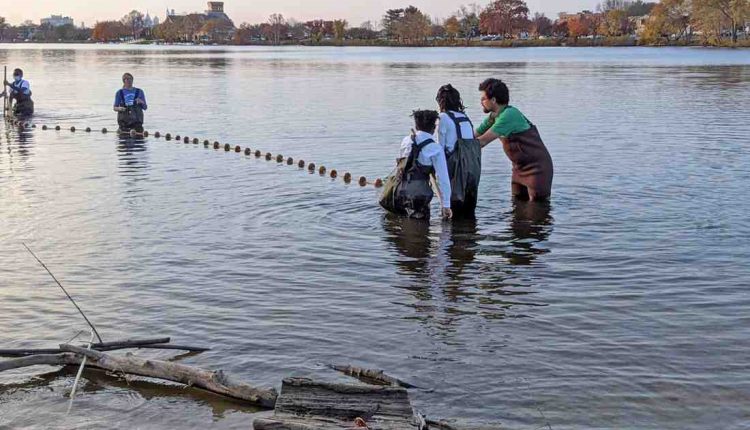 Is Camden safe for students?