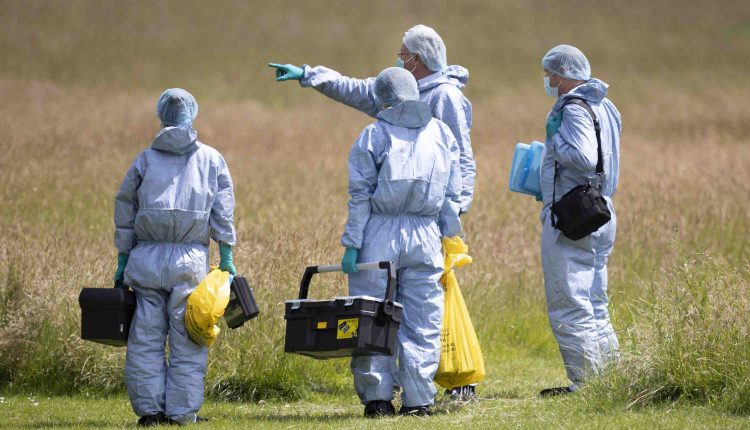 Body found in fire in a park in Northolt, west London