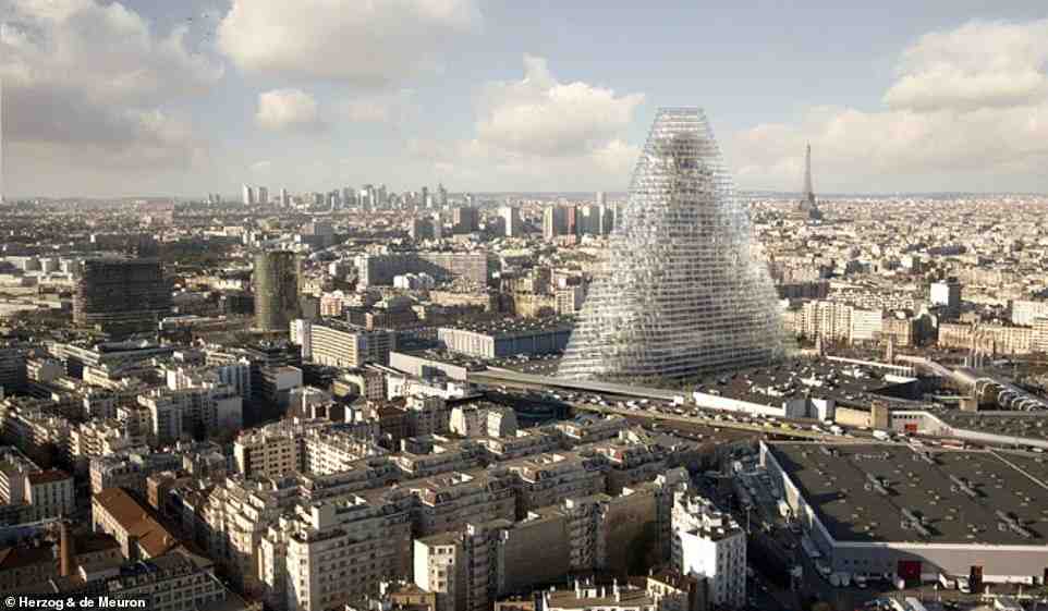 Do people not pick up dog poop in Paris?