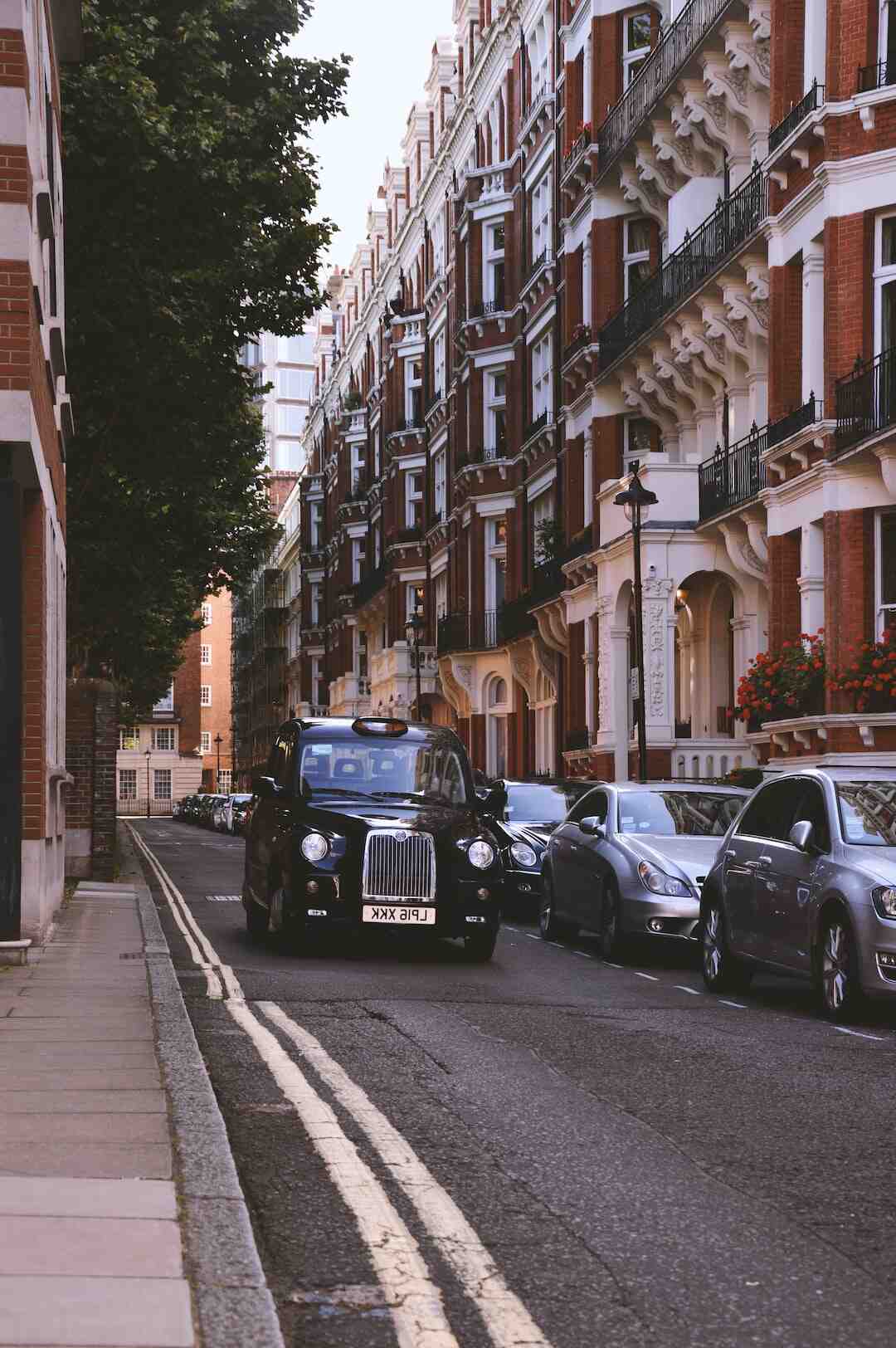 Related Internet Links