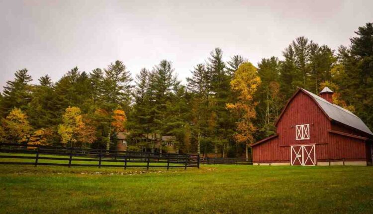 Hampstead named one of UK's best places for country pubs
